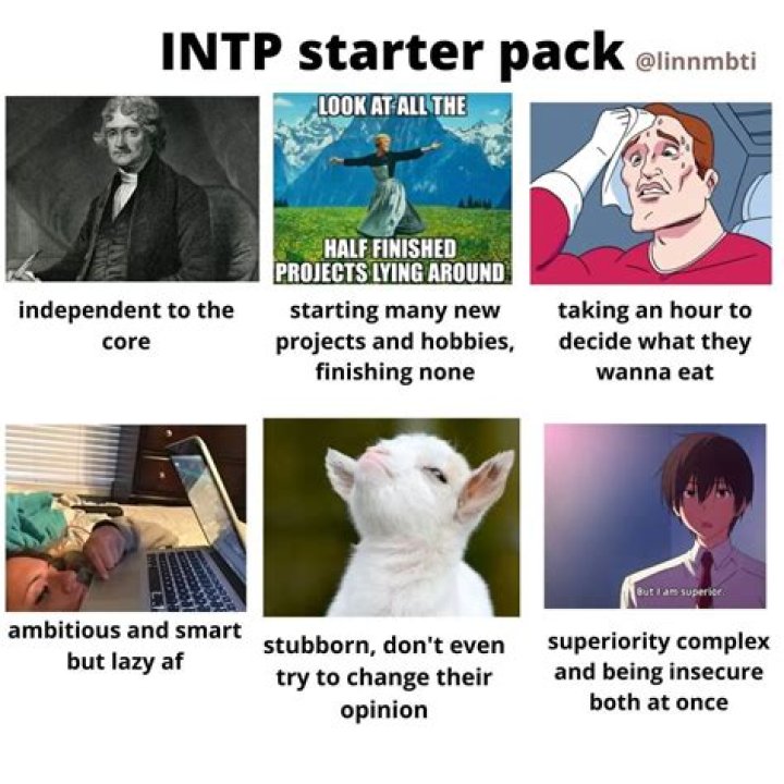 Smart-Ass INTP video statistics